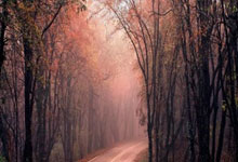 克罗地亚中场发挥出色，轻取对手