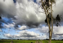 热刺在欧洲比赛中表现抢眼