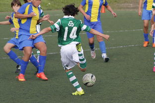 开云在线登入-体育纪录片内容更加丰富，体育纪录片主题